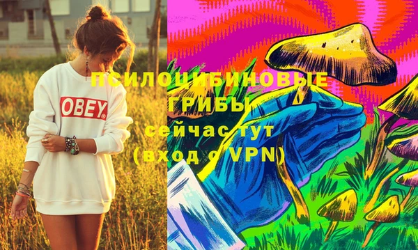 apvp Баксан