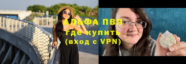 PSILOCYBIN Балахна