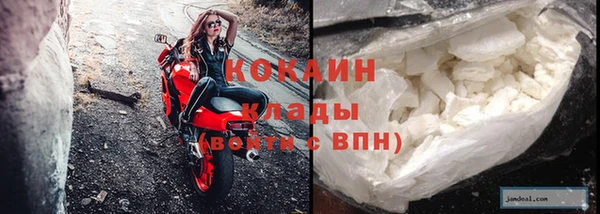 гашик Майский
