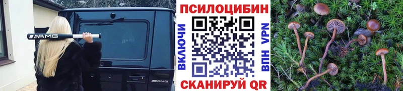 Псилоцибиновые грибы прущие грибы  гидра как войти  Курчатов 